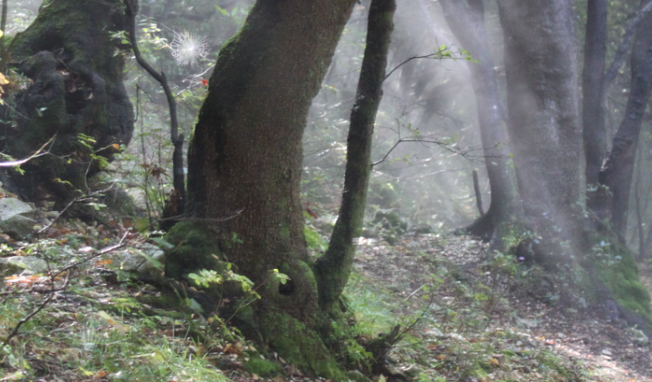 KatecheseKirche St. Stephan KatecheseKirche St. Stephan