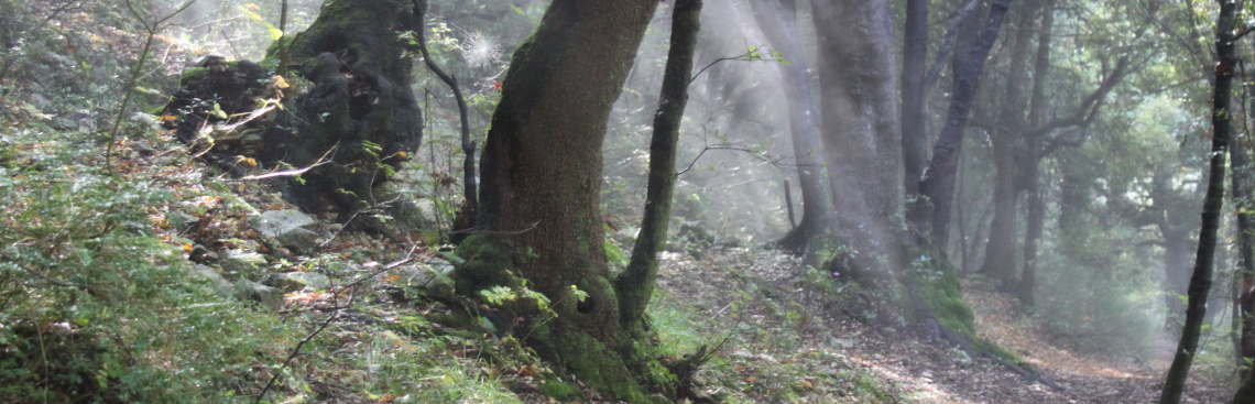 KatecheseKirche St. Stephan KatecheseKirche St. Stephan