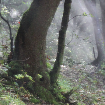 KatecheseKirche St. Stephan KatecheseKirche St. Stephan