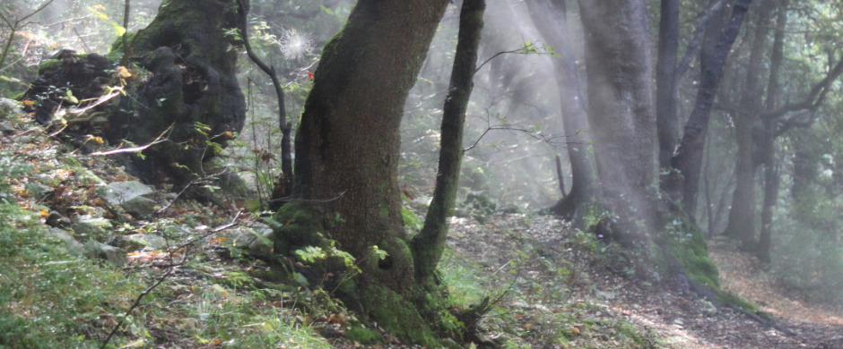KatecheseKirche St. Stephan KatecheseKirche St. Stephan
