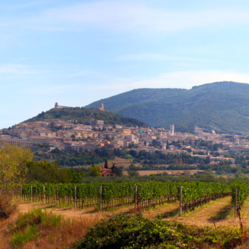 KatecheseKirche St. Stephan KatecheseKirche St. Stephan