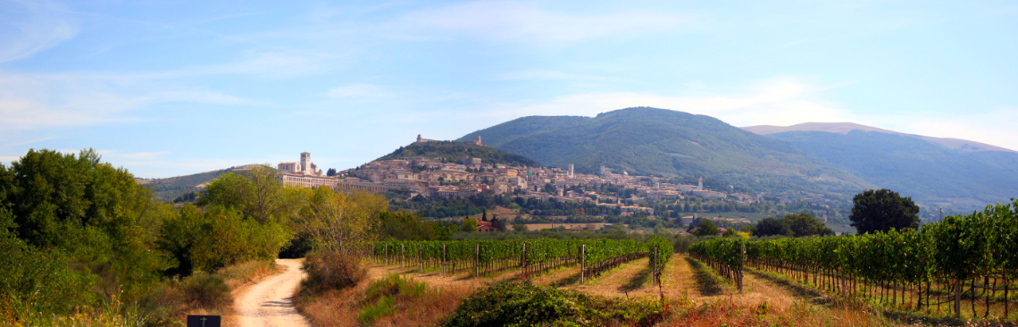 KatecheseKirche St. Stephan KatecheseKirche St. Stephan
